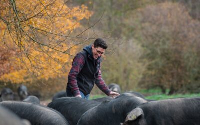 BIEN-ÊTRE AFFINÉ : un élevage respectueux du bien-être animal ?