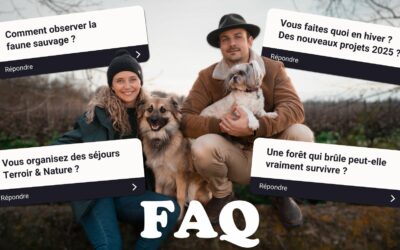 FAQ & VLOG : la forêt qui renaît, observations naturalistes et notre hiver d’entrepreneurs